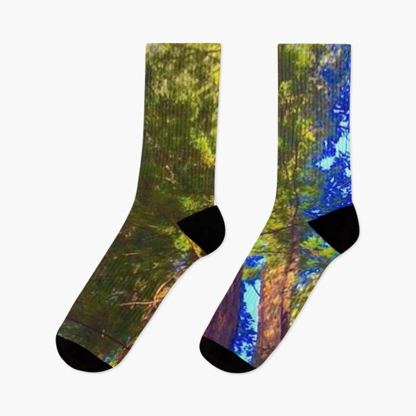 Item preview, Clump of Northern California Redwood Trees from Below designed and sold by AMGImpressions.