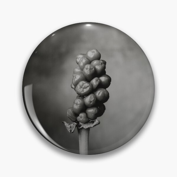 Item preview, Arum Italicum designed and sold by Nigel Maudsley.
