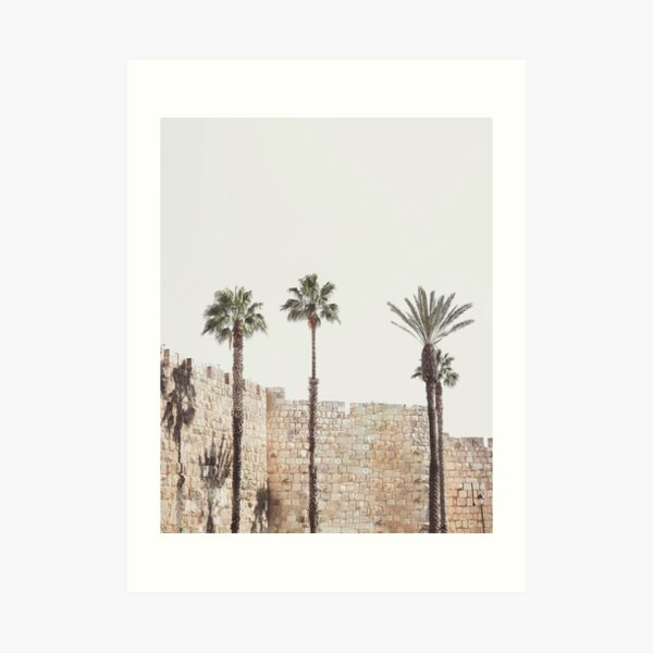 Jerusalem walls, palm trees, Holy Land Israel landscape, sacred landmark photography Art Print