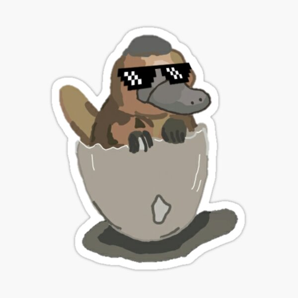 Baby Platypus Gifts Merchandise Redbubble