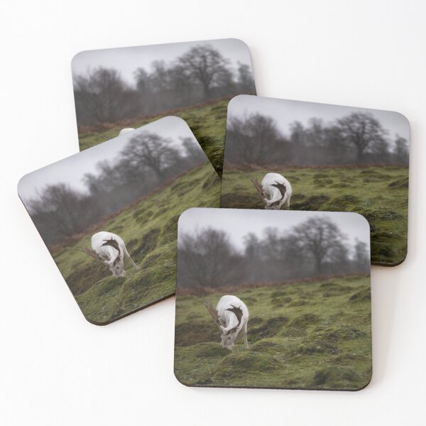 Item preview, 'Follow the White Stag' designed and sold by Gerard Chillcott.