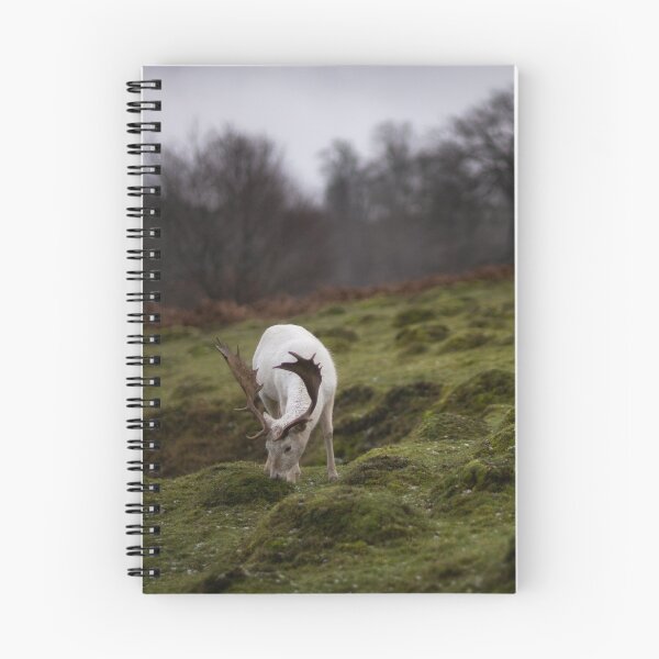 Item preview, 'Follow the White Stag' designed and sold by Gerard Chillcott.