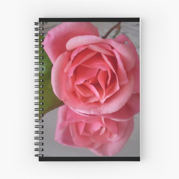 Artikelvorschau, Pink Reflections - einzelne Rose, Frühling 2009 entworfen und verkauft von EdsMum.