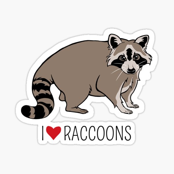 Milleyz I Brake For Forbidden Kitties Raccoon Sticker, Raccoon Stickers,  Animal Lover Stickers, Cute Stickers, Funny Stickers, Water Assistant  Die-Cut