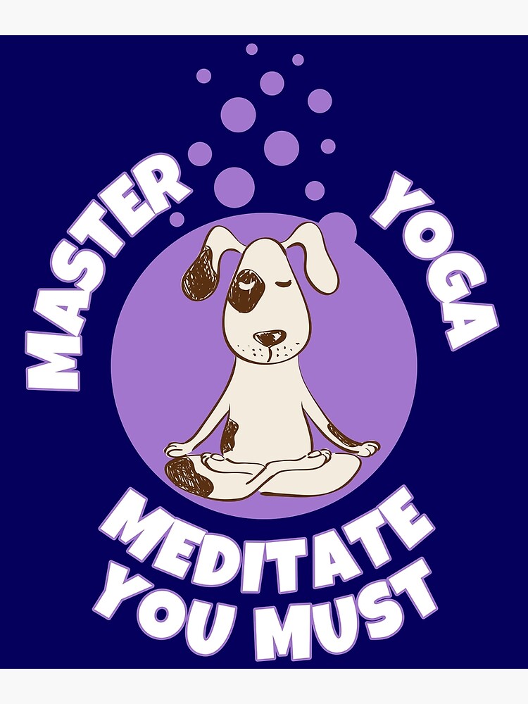 Namaste Zen Meditate Meditation Yoga Lovers Gift Hoodie