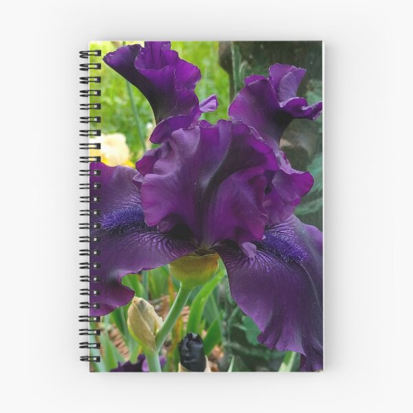 Item preview, Dark Purple Daylily with Antique Ornate Horse Hitching Post, Lily, Lilies designed and sold by PrettyLittlePic.
