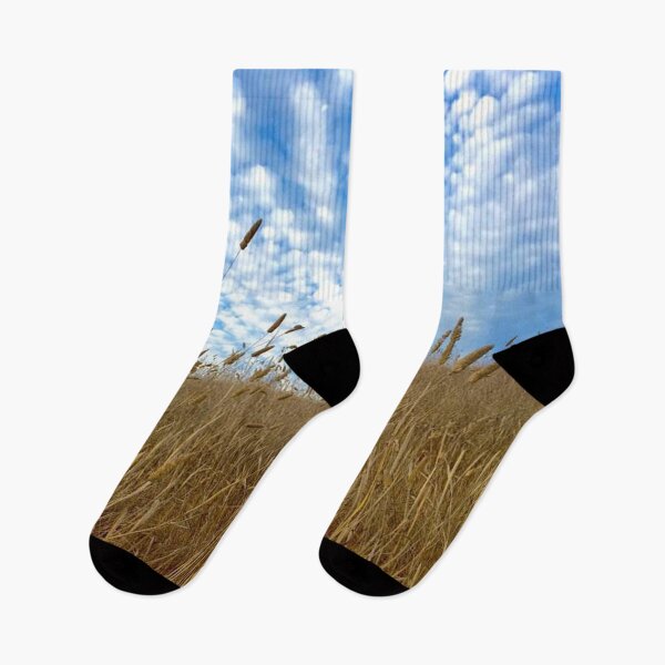 Item preview, Amber waves of grass against bright blue sky  designed and sold by AMGImpressions.