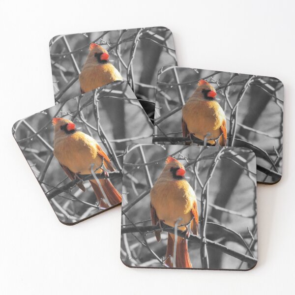 Item preview, Red Female Cardinal on Black and White Trees Modern Farmhouse Decor A841 designed and sold by byNicol.