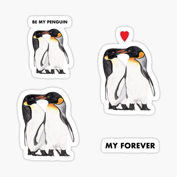 Percha Novio Pingüino