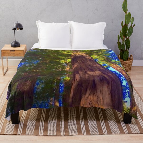 Item preview, Clump of Northern California Redwood Trees from Below designed and sold by AMGImpressions.