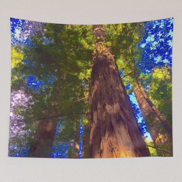 Item preview, Clump of Northern California Redwood Trees from Below designed and sold by AMGImpressions.