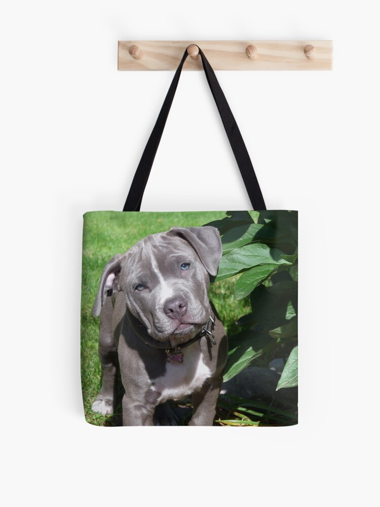 Frosty Pitbull - Louie - Tote Bag – Inkopious