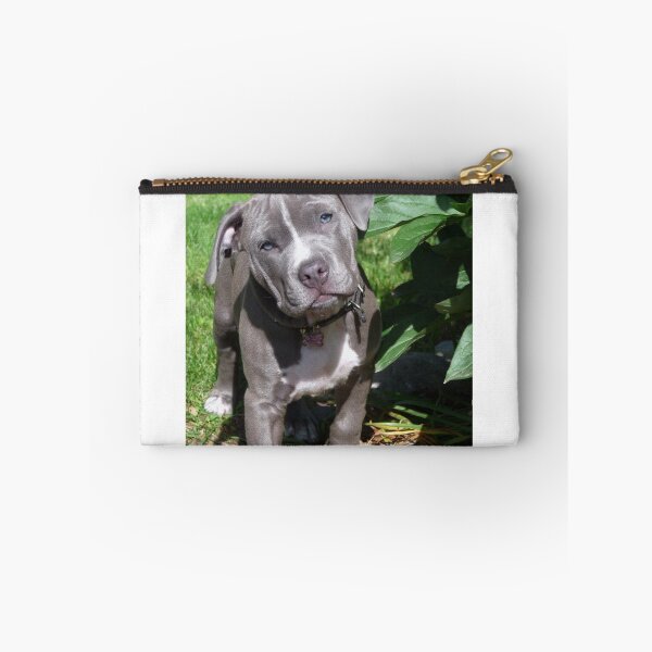 Item preview, Gorgeous Baby Pitbull Puppy Dog (Head Tilted) designed and sold by Christy Carlson.