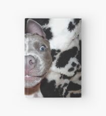 Silly, Baby, Blue Pit Bull Puppy Dog Hardcover Journal