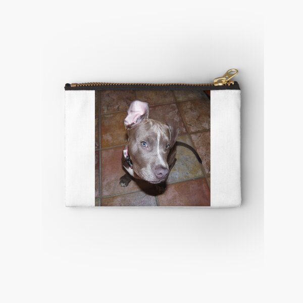 Item preview, I'm All Ears - Blue Pit Bull designed and sold by Christy Carlson.