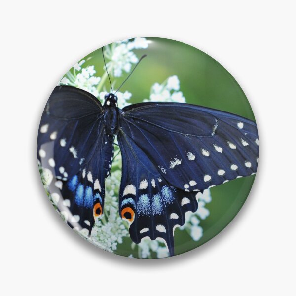 Item preview, Wonder designed and sold by inlightimagery.