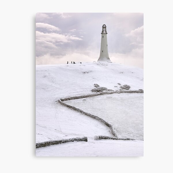 Winter Hoad Metal Print