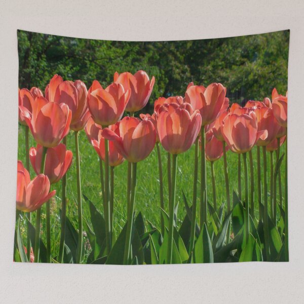 Item preview, a row of red tulips surrounded by green foliage designed and sold by nataliavavilina.