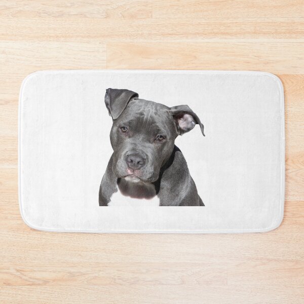 Artikelvorschau, Pitbull T-Shirt - Geschenk - Geburtstag entworfen und verkauft von ali998.