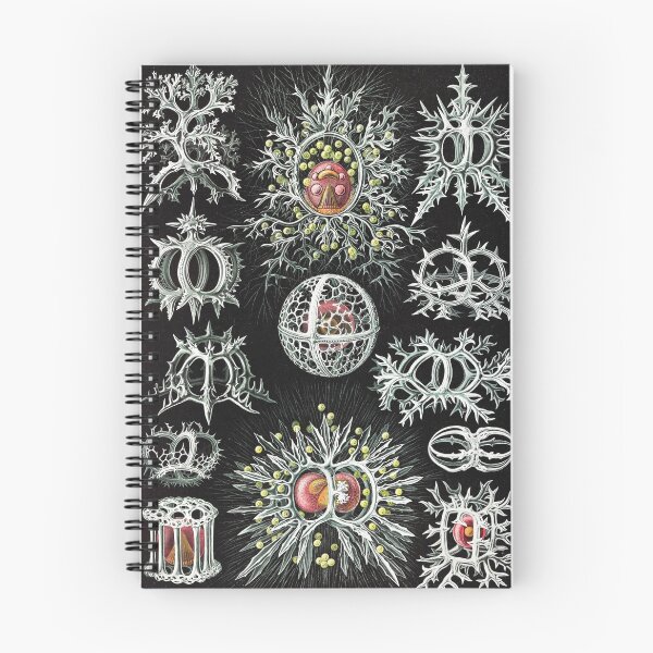 Item preview, Vintage Microorganism Poster designed and sold by redoARTstore.