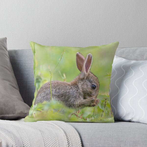 Item preview, Rabbit designed and sold by Steve Liptrot Photography.