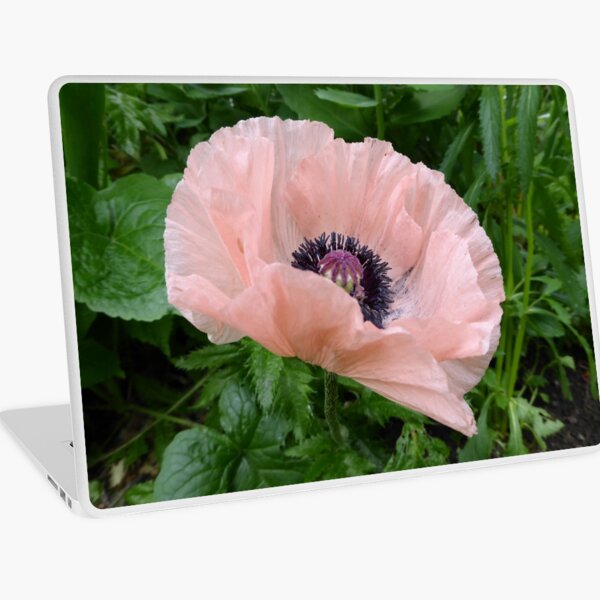 Oriental Poppy Laptop Skin