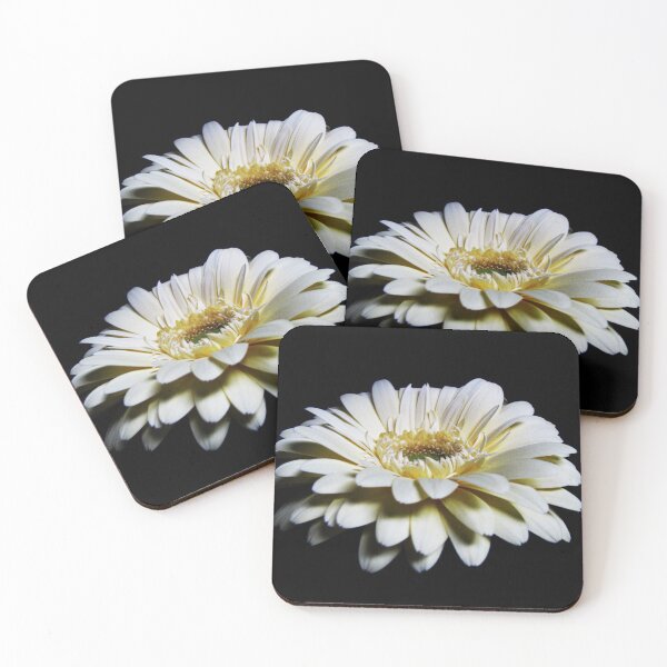 Item preview, White Gerbera designed and sold by Mistyarts.