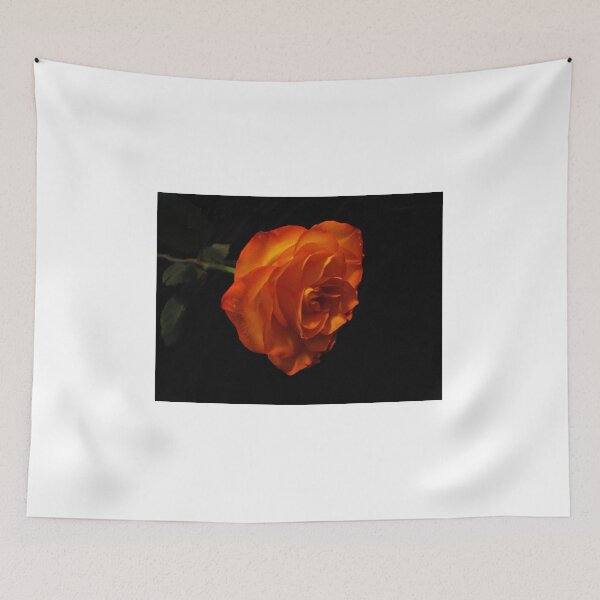 Item preview, Orange designed and sold by Mistyarts.