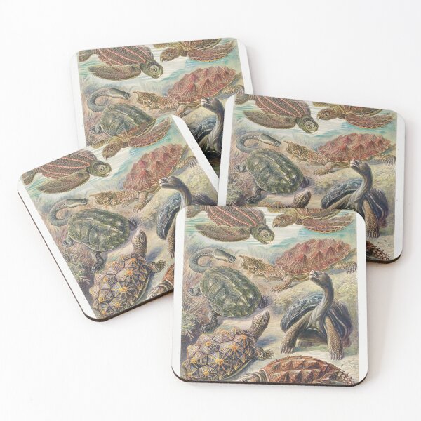 Item preview, Vintage Turtle and Tortoise Poster designed and sold by redoARTstore.