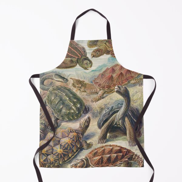 Item preview, Vintage Turtle and Tortoise Poster designed and sold by redoARTstore.