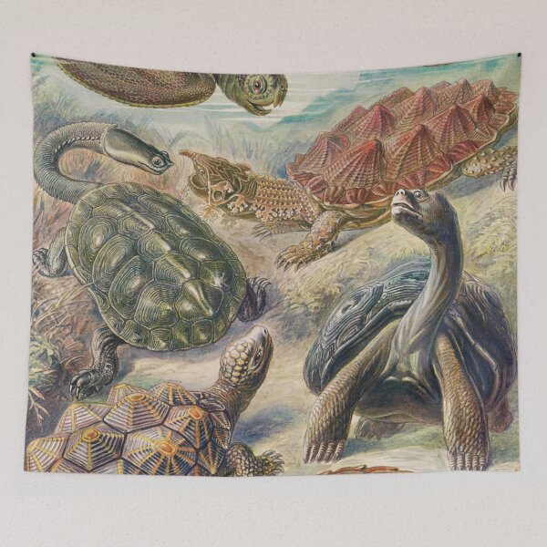 Item preview, Vintage Turtle and Tortoise Poster designed and sold by redoARTstore.