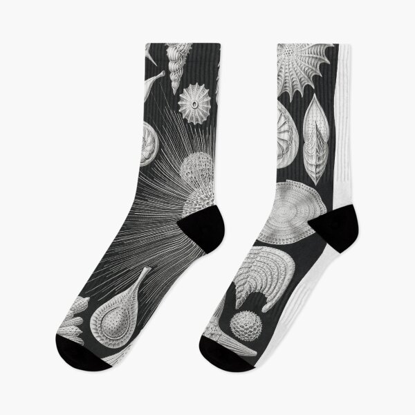 Item preview, Vintage Shells and Microorganisms designed and sold by redoARTstore.