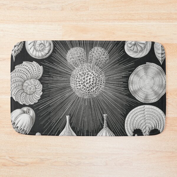 Item preview, Vintage Shells and Microorganisms designed and sold by redoARTstore.