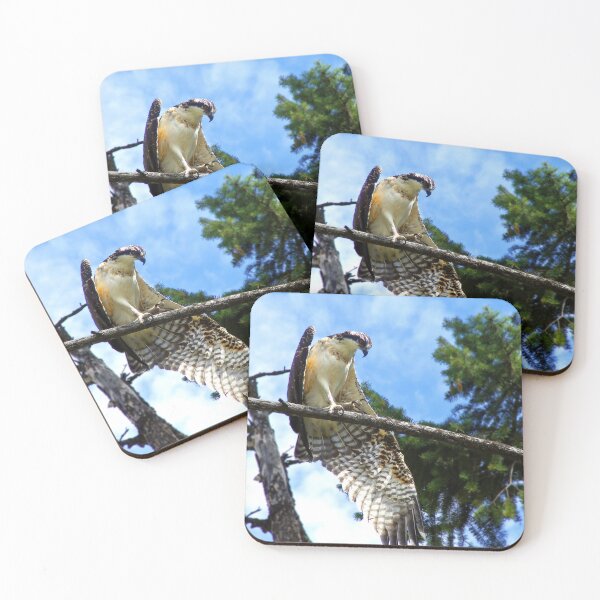 Item preview, Osprey designed and sold by Cheyanne Murray.