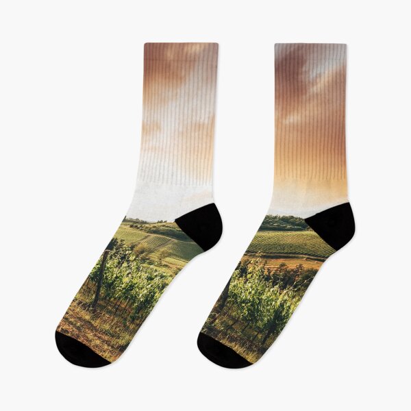 Item preview, vineyard in italy at dusk designed and sold by franckreporter.