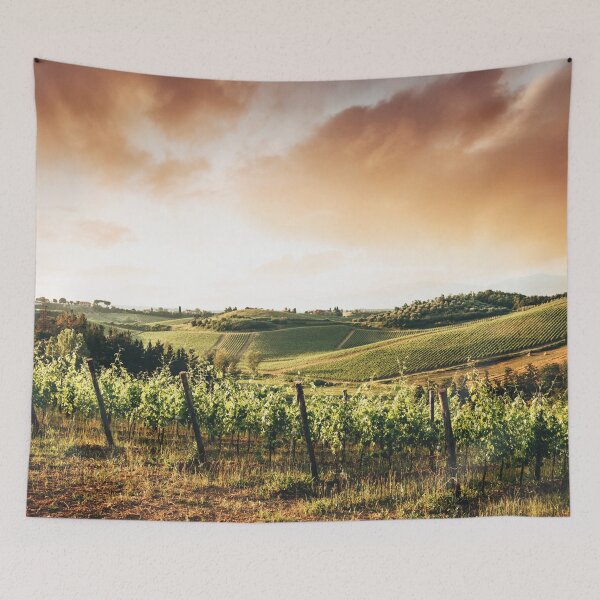 Item preview, vineyard in italy at dusk designed and sold by franckreporter.