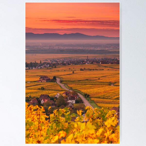 Vignoble et plaine d'Alsace en automne Poster