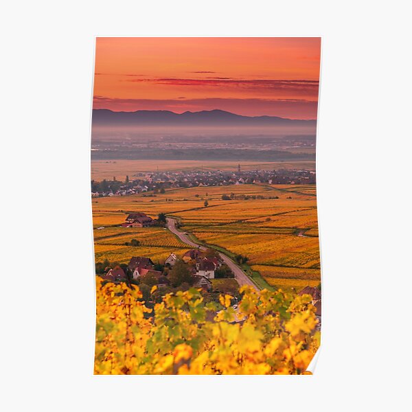 Vignoble et plaine d'Alsace en automne Poster