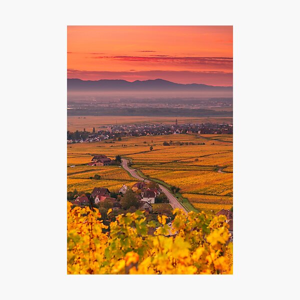 Vineyard and plain of Alsace in autumn Photographic Print