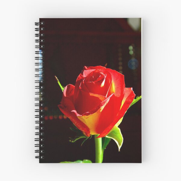Item preview, Flower of a red hybrid tea rose designed and sold by NW-Photo-Art.