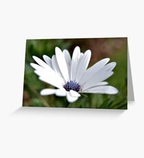 White simplicity Greeting Card