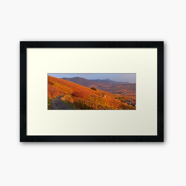 Item preview, Vignoble de Katzenthal et les vosges en automne designed and sold by Jean Isenmann.