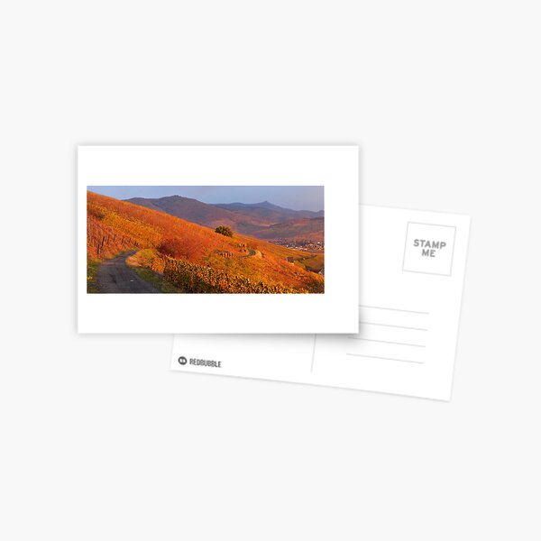 Vignoble de Katzenthal et les vosges en automne Carte postale