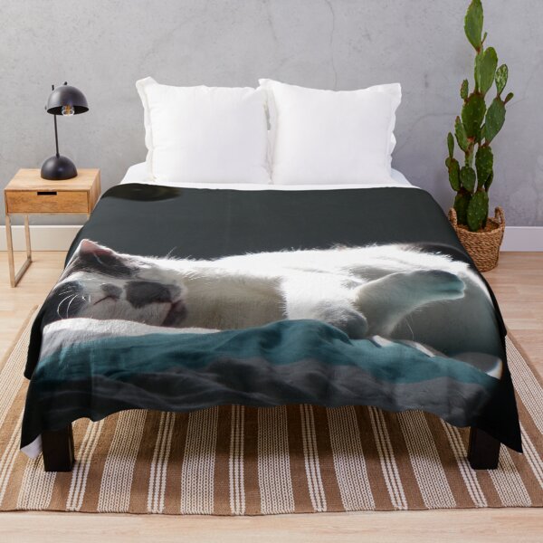 Item preview, Cat in Sunspot Do Not Disturb designed and sold by Frankie Cat Photography.