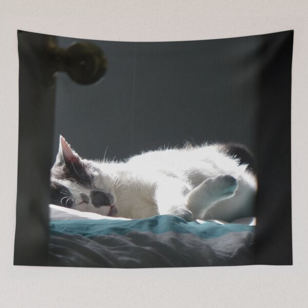Item preview, Cat in Sunspot Do Not Disturb designed and sold by Frankie Cat Photography.