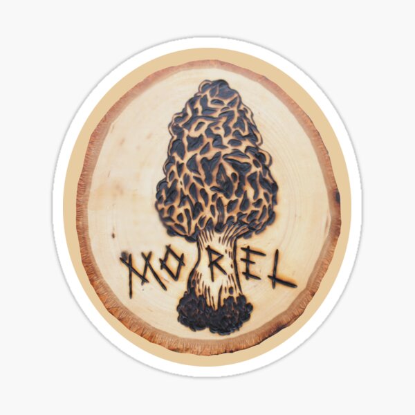 Wood-burned Morel Mushroom Original Artwork! Sticker