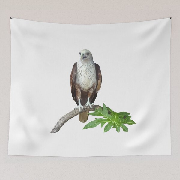 Item preview, photo an eagle sits on a tree branch  with leaves designed and sold by nataliavavilina.