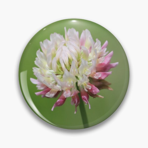 Artikelvorschau, Rosa und weiße Kleeblume entworfen und verkauft von LisaNaturePhoto.