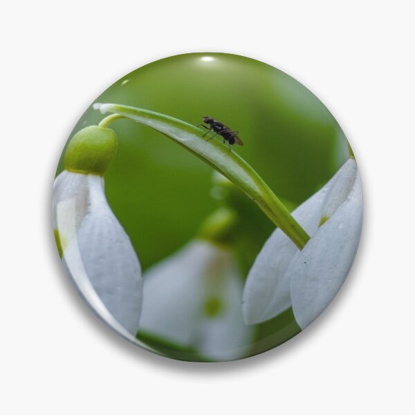 Item preview, blessed imbolc designed and sold by Jack Cox.