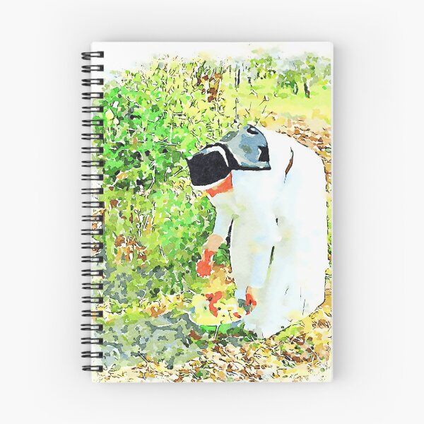 Item preview, Hortus Conclusus: nun collects flowers designed and sold by Giuseppe Cocco.